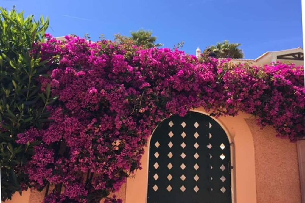 Vila Bela Nova Acacias 22 Luz エクステリア 写真
